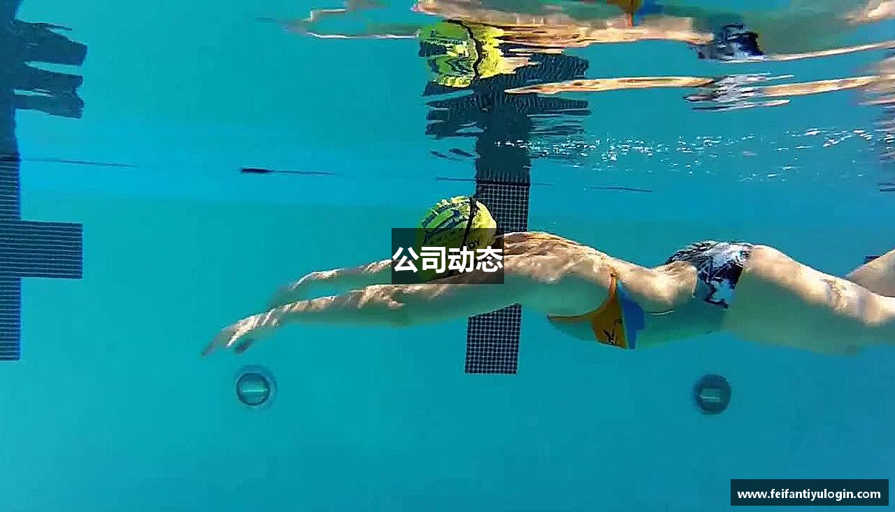 公司动态